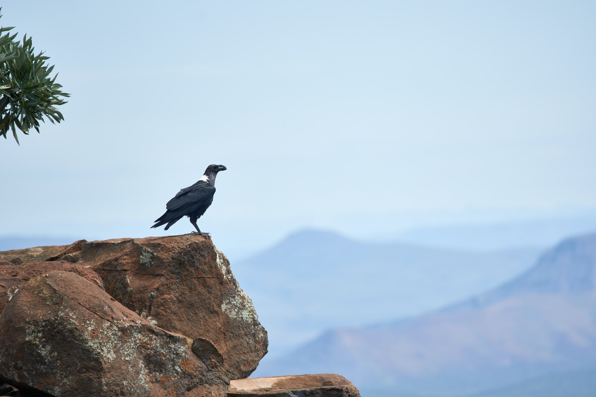 wolfgang-hasselmann-iGMhYzS_i5Q-unsplash